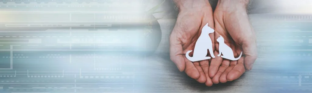 Seguro de animales de compañía